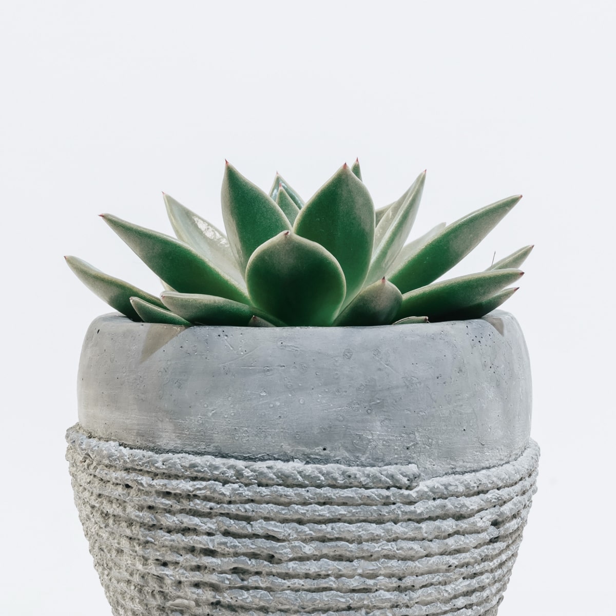 product5
